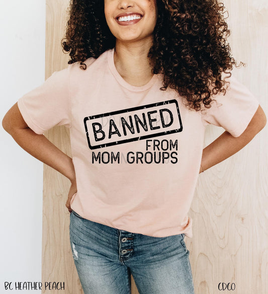 Banned From Mom Groups (325°)