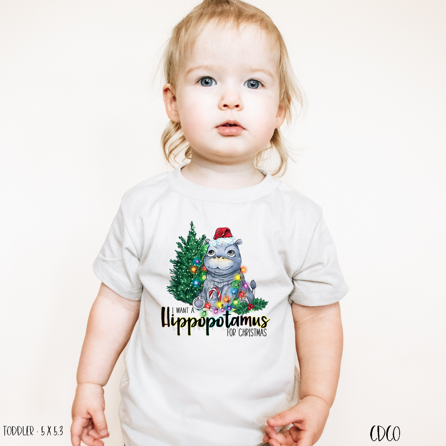 I Want a Hippopotamus for Christmas - TODDLER (350°-375°)