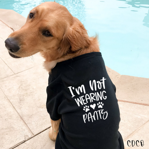 I'm Not Wearing Pants Pet Bandana/Shirt (325°)