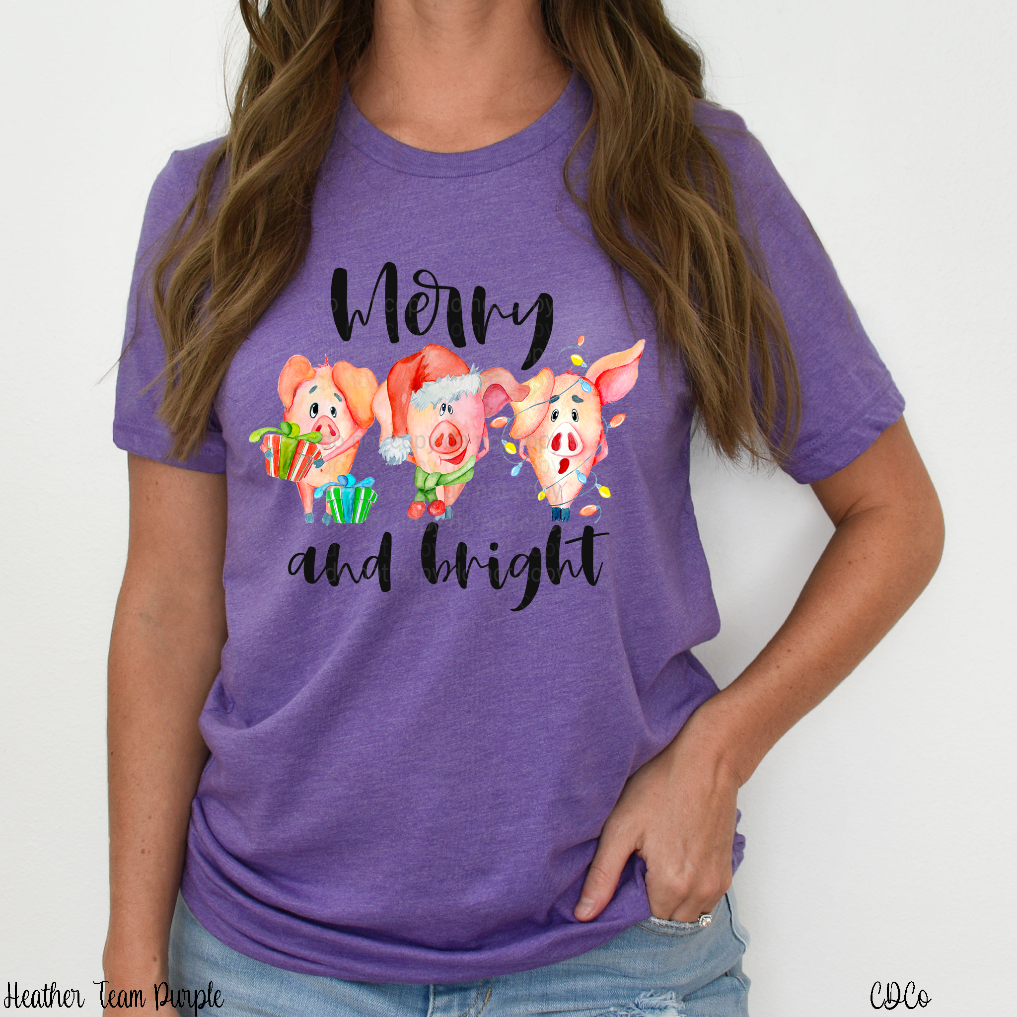 Merry & Bright Three Little Pigs DTF