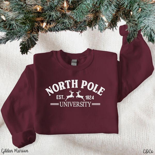 North Pole University (325°)