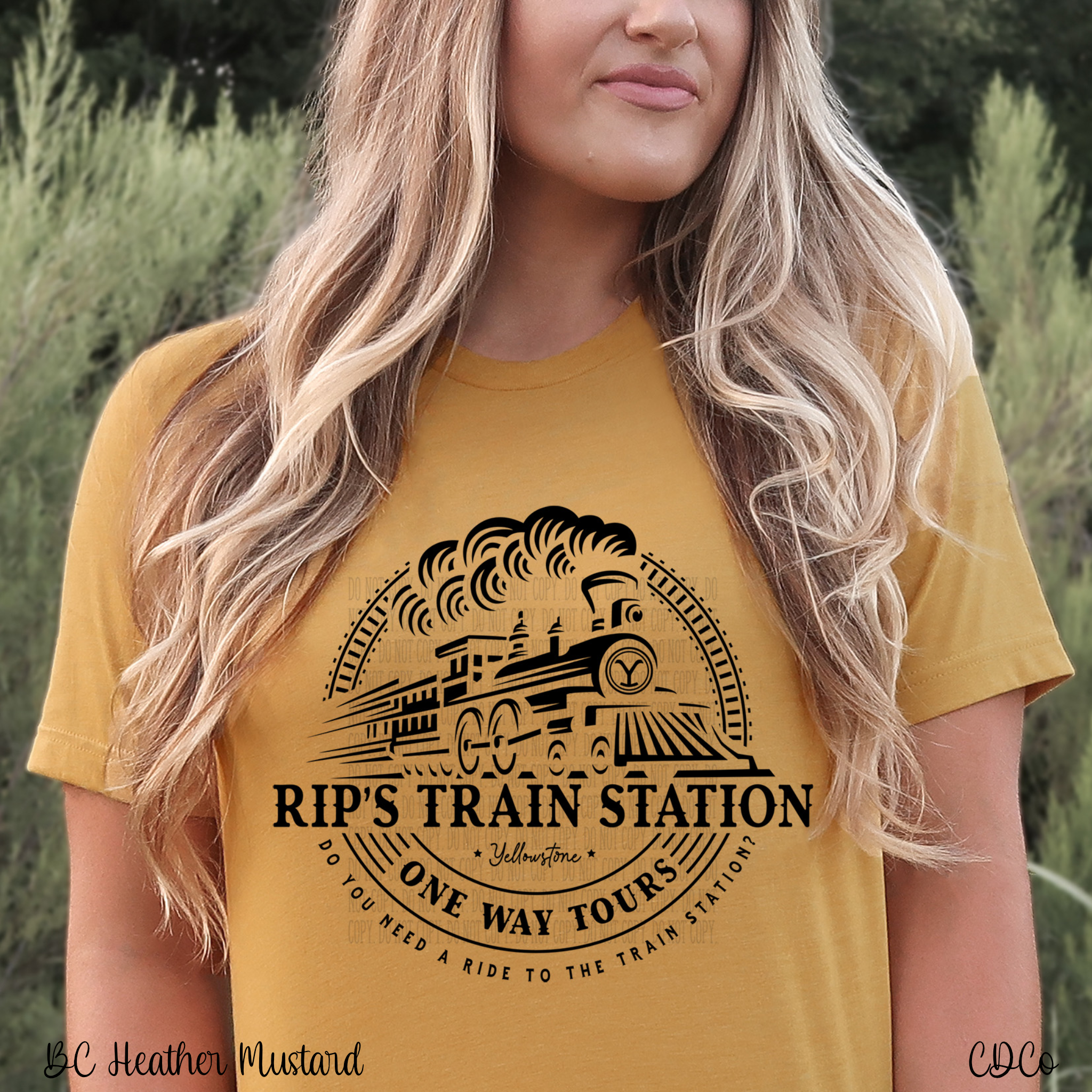 Rip's Train Station Logo (325°)