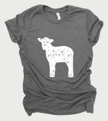 Sheep Show Distressed White (325°)