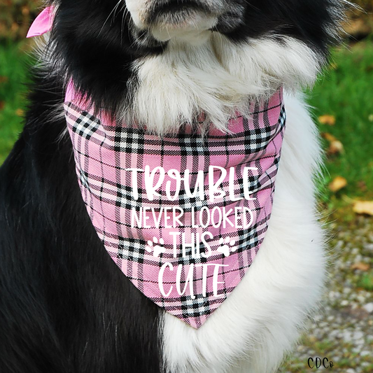 Trouble Never Looked This Cute Pet Bandana/Shirt (325°)